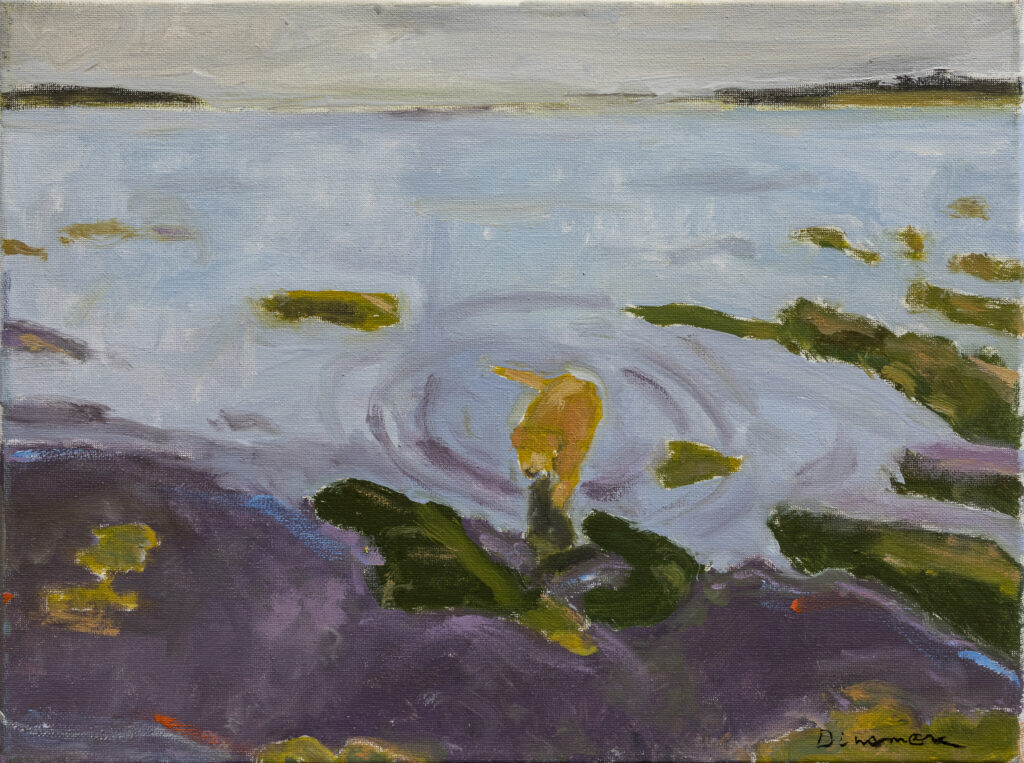image of Stephen Dinsmore's - Bailey&#39;s Way