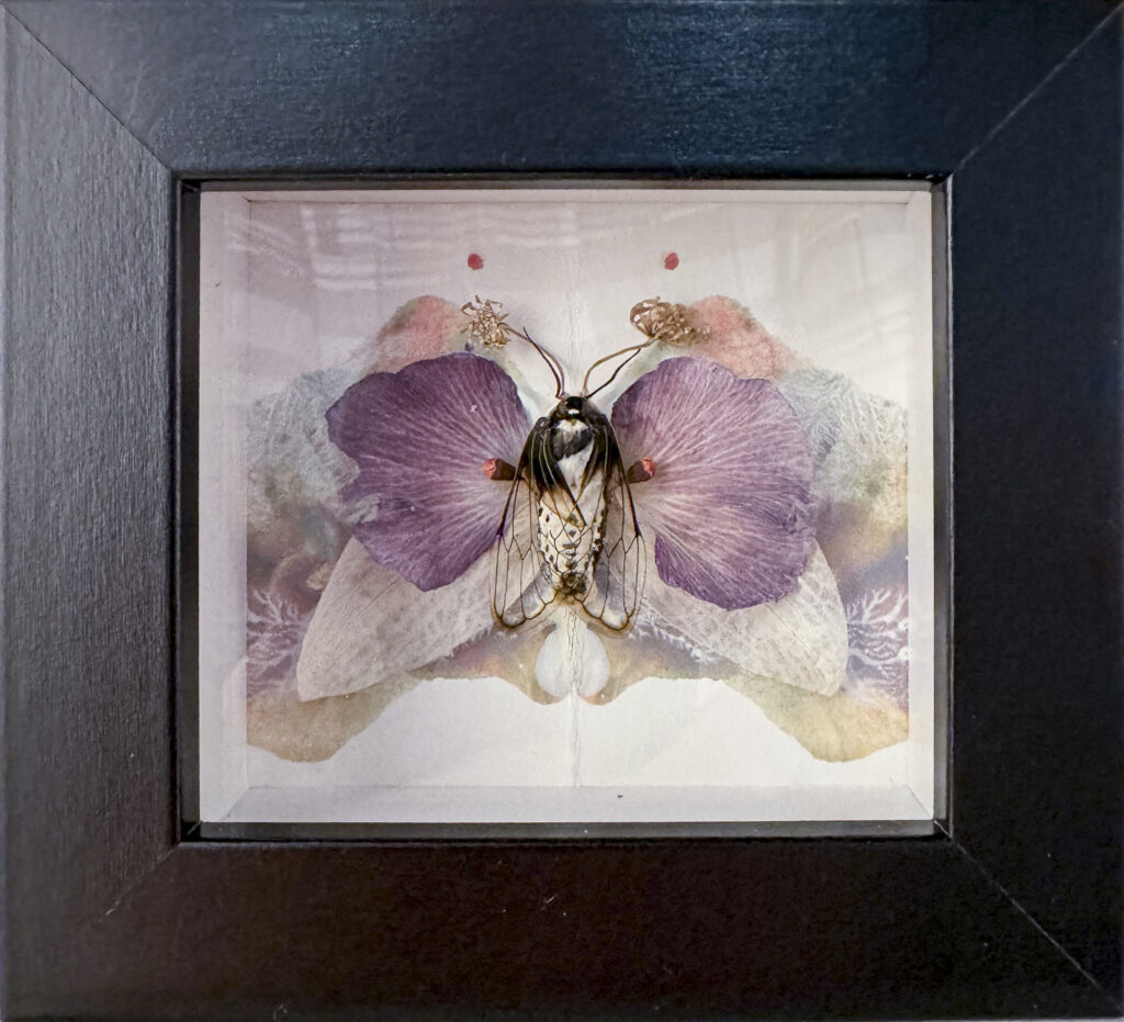 image of Alessandra Dzuba's - Flower Moth Series in Lavender