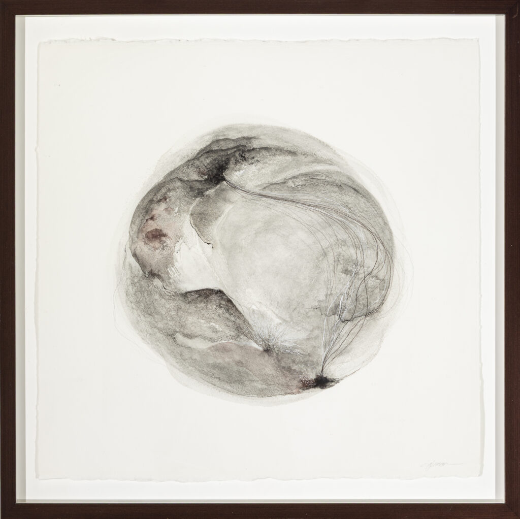 image of Emily Johnson's - Metamorphosis