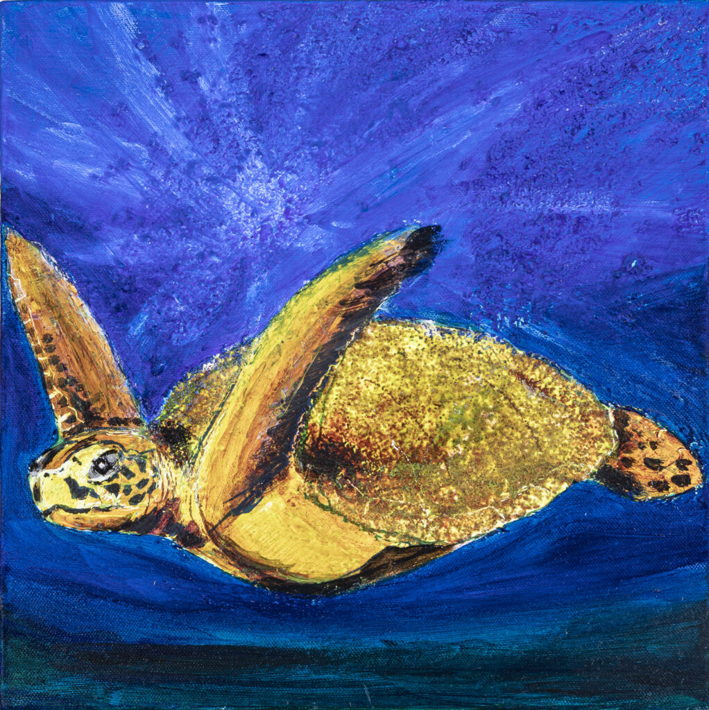 image of Susi Lulaki's - Sea Turtle